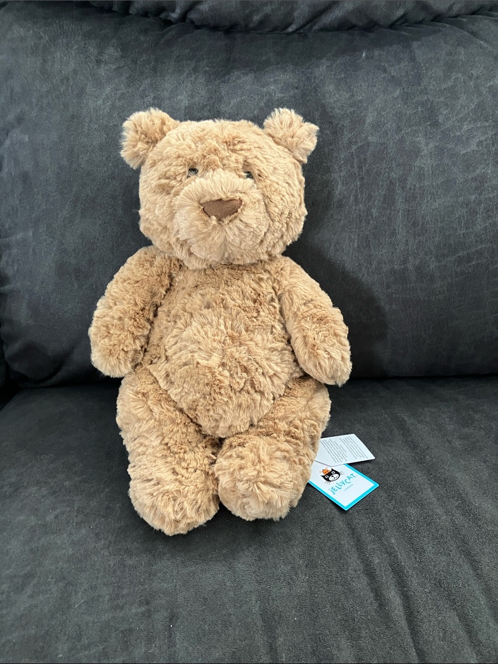 Jellycat Tan Plush Teddy Bear Stuffed Animal